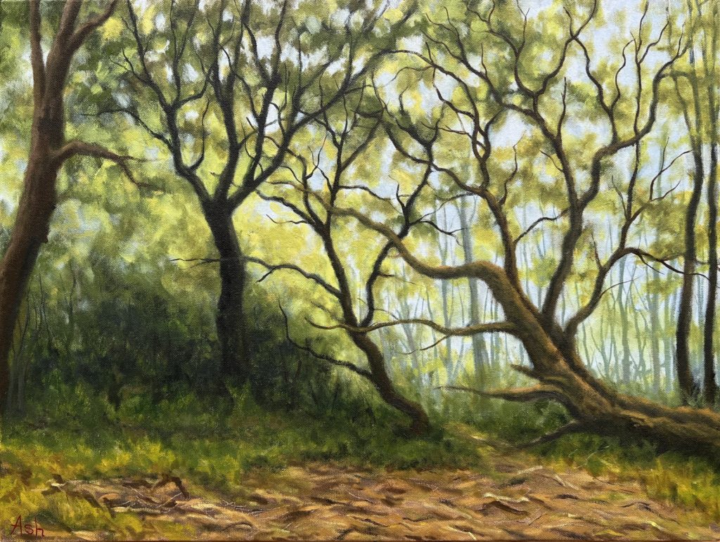 Pretty Corner Woods oil painting