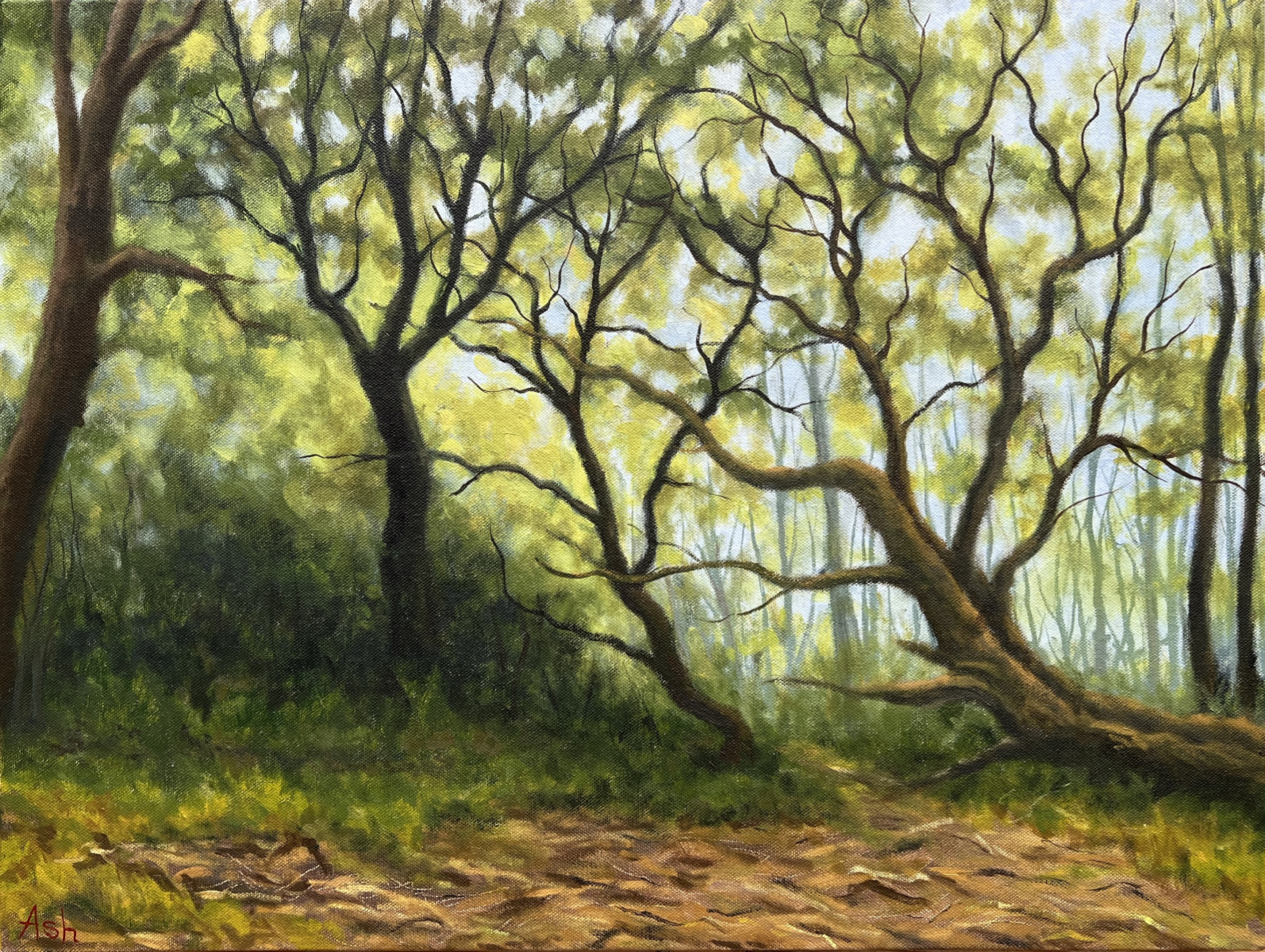 Oil painting of Pretty Corner woodland