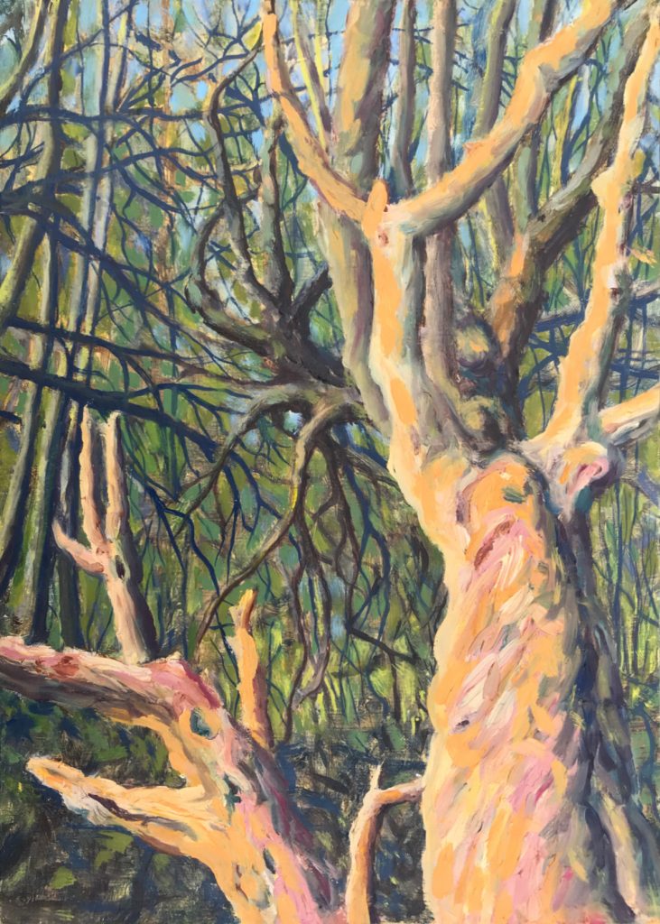 The Old Tree oil sketch