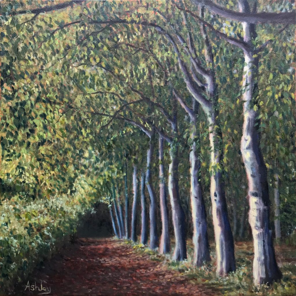 Wandlebury beech tree path - oil painting